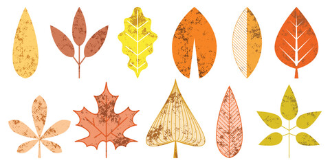 Obraz premium Set stylized geometric leaves, autumn leaves, isolated silhouette on white background, vector design