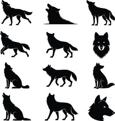 Fototapeta premium Howling wolf silhouettes animal wild