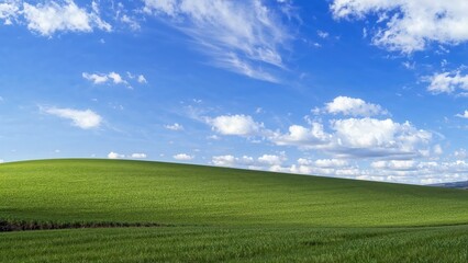 Obraz premium Bright blue heavens paired with lush green turf featuring blank area