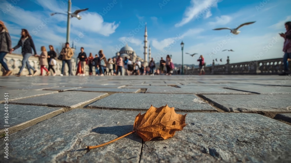 Poster a withered leaf lying on an urban pavement, featuring natural textures and patterns with elements of