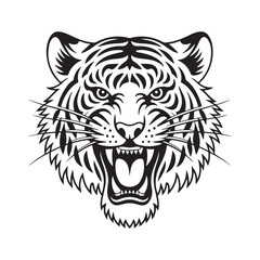 Fierce roaring tiger head with open mouth and bared teeth animal wildlife