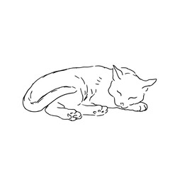 Sleeping cat, black and white ink sketch. Vector illustration. The silhouette is made in a simple linear style. The theme of animals, veterinary clinics, animal feed and for printing