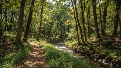 Naklejka premium Design showcasing a natural trail in dense forest with a stream flowing at the side, abstract summer nature background