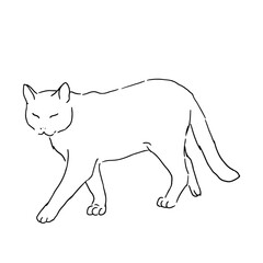 Walking cat, black and white ink sketch. Vector illustration. The silhouette is made in a simple linear style. The theme of animals, veterinary clinics, animal feed and for printing