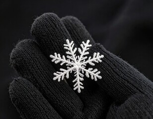 Macro image of a single detailed snowflake on a dark wool glove. Crystalline structure clearly visible, cold natural lighting. Clean dark background.