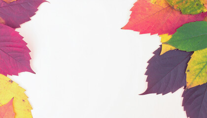A vibrant abstract autumn background filled with large, colorful tree leaves of different shapes and sizes, scattered in a flowing, artistic composition. copy space.