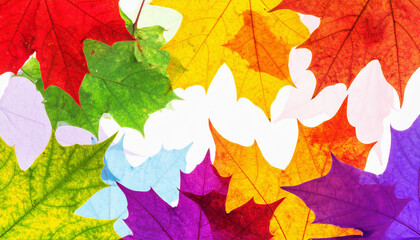 A digital collage autumn background made of large, colorful tree leaves in various shapes and species, arranged in an abstract and artistic layout. The leaves are vividly colored.