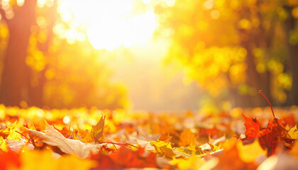 Autumn background bokeh warm golden sunlight, colorful fallen leaves on the ground, soft focus forest or park setting, cozy and inviting atmosphere.