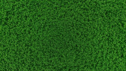 Fototapeta premium Top-down view showcasing dense green grass texture