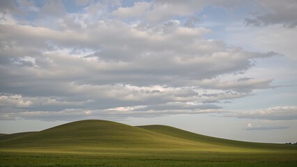 Fototapeta premium Green grass stretches out below a thick blanket of clouds.