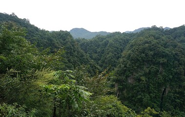 mountain landscape with trees and clouds