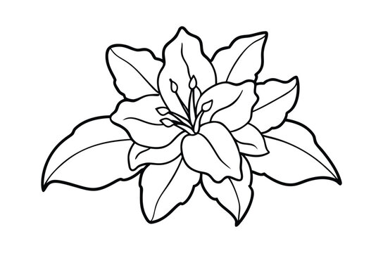 Azalea flower outline coloring book page, flower line art vector drawing illustration