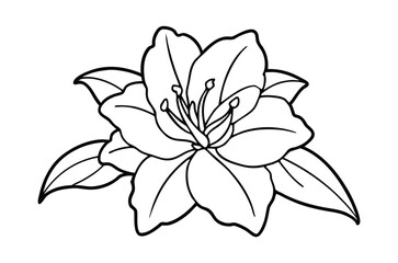 Azalea flower outline coloring book page, flower line art vector drawing illustration