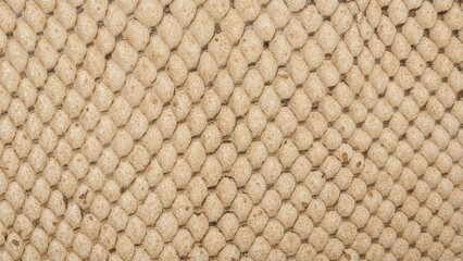 Close-up of snake skin design