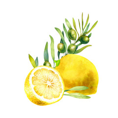 Watercolor composition of lemons and green olives isolated on a white background.