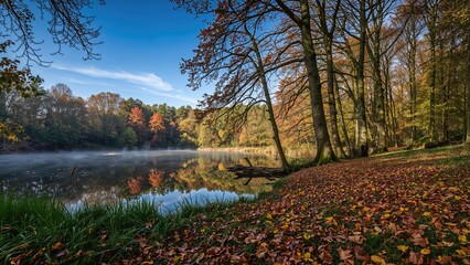 Reflections of autumn hues in a quiet forest