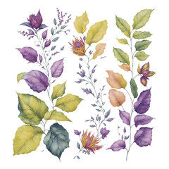 Colorful botanical blooming flower elegance watercolor bouquet. Colorful flower blooms in watercolor serenity painting on canvas, watercolor painting of bouquet vector Illustration.	