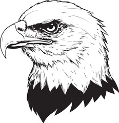 Black and white sketch of a bald eagle head in profile on a white background bird raptor
