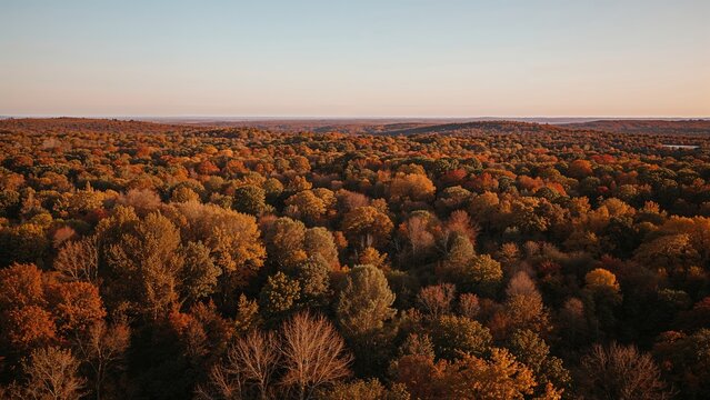 Golden hour aerial shot of autumnal landscape