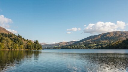 Naklejka premium Scenic view of a lake surrounded by lush greenery and clear skies