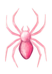 Watercolor spiderwebs in a pink Halloween theme