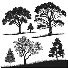Fototapeta premium set of trees silhouettes