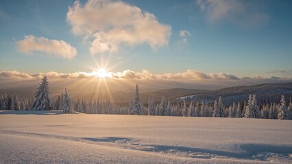 Frosty landscape scene