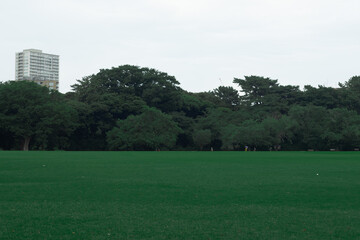 City Park with Grass Field and High-rise in Background