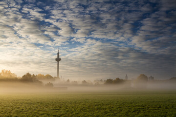 Early morning fog on a meadow