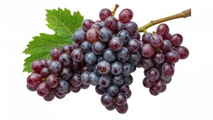 Fototapeta premium Close-up of fresh grapes with fogged, moist skin emerging from cold storage, perfect for poster design focused on vegetable growth and wellness.