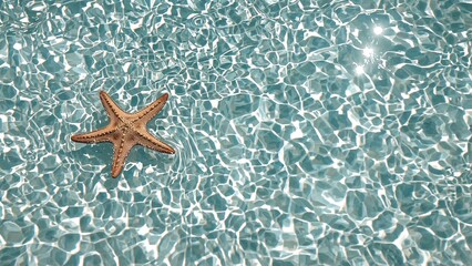 Sunny beach day featuring a starfish and a vibrant ocean view