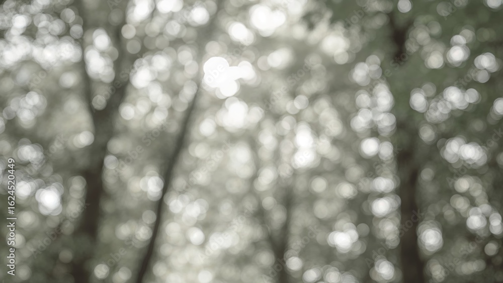 Poster soft focus bokeh in black and white creating a calming atmosphere