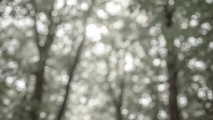 Soft focus bokeh in black and white creating a calming atmosphere