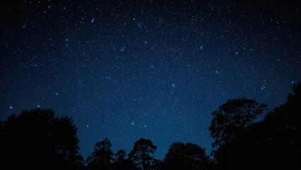 Night Sky Gradient from Blue to Black Featuring Stars and Tree Shadows
