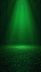 Dark green to black fade, professional PPT theme , gradient, success