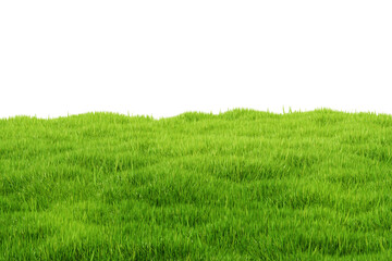 Realistic green grass field with lush texture on white background, natural landscape concept representation in 3D Rendering style. 3D Rendering
