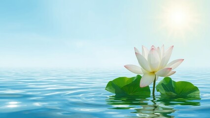 Lovely lotus blossom backdrop, emblem of the natural world, floral, aquatic, warm season, environment, renewal, brightness, foliage, pale, elegance