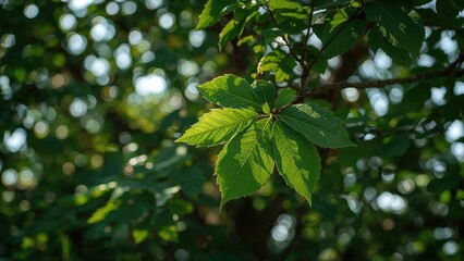 Elegant outdoor setting highlighted by a detailed leaf in sharp focus, complemented by a gently blurred environment. Crisp and clear high-quality photograph.