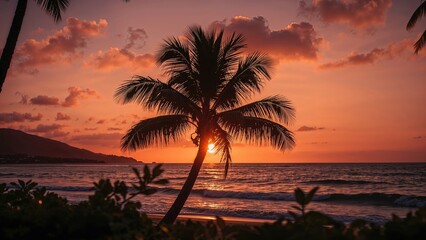 Palm Tree Silhouette on a Hill by the Shore