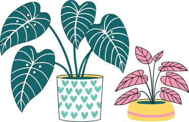 Two potted houseplants with stylized leaves isolated on transparent background