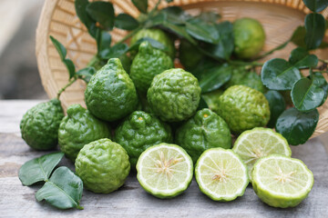 Fresh kaffir limes fruits with leaves in basket. Aromatic Thai herb is used for cooking, natural shampoo and homemade cleaners. Known for its citrusy fragrance and traditional medicinal properties.