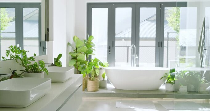 On recording start, camera is panning across bathroom to showcase plants, sinks, tub and shower