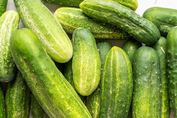 Fresh short homegrouth cucumbers, gherkins, top view.