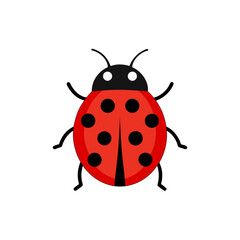Simple red ladybug with black spots on a black background
