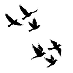 Silhouettes of Flying Birds in a Swirl.