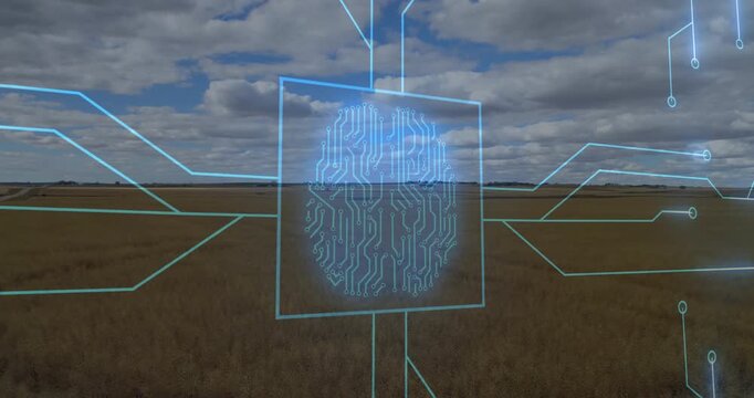 Neon-blue square appearing then growing circuit branches then collapsing above wheat field for demo