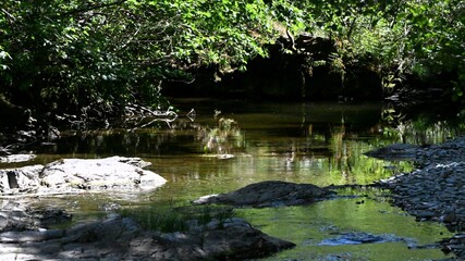 Rivi&egrave;re La Sure en Ard&egrave;che Sud