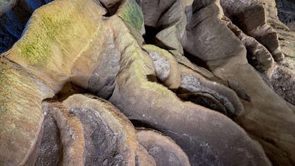 Root-like formations twist in surreal limestone grotto, evoking Earth Day reflections and Celtic...