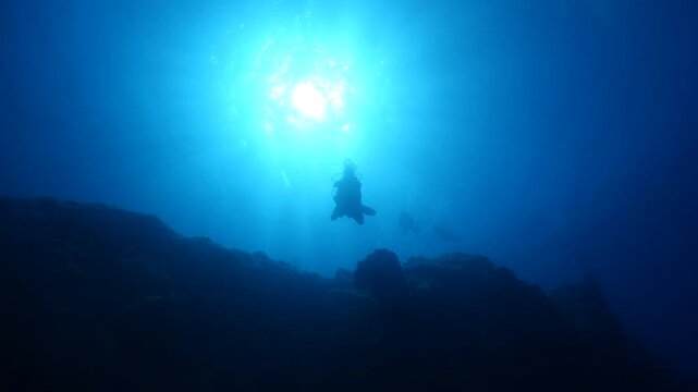 scuba divers are exploring the reefs and topography underwater