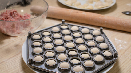 Intricate dumpling mold nestled beside vibrant minced filling, evoking Slavic culinary traditions and joyful Pelmeni Day celebrations